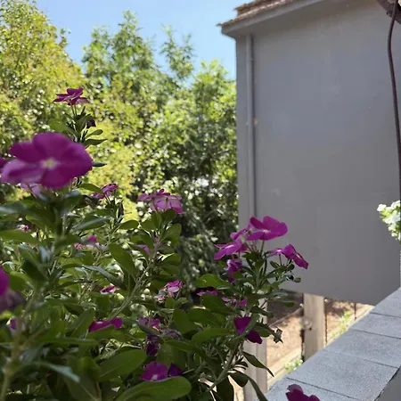 Bed and breakfast La Rosa 3*